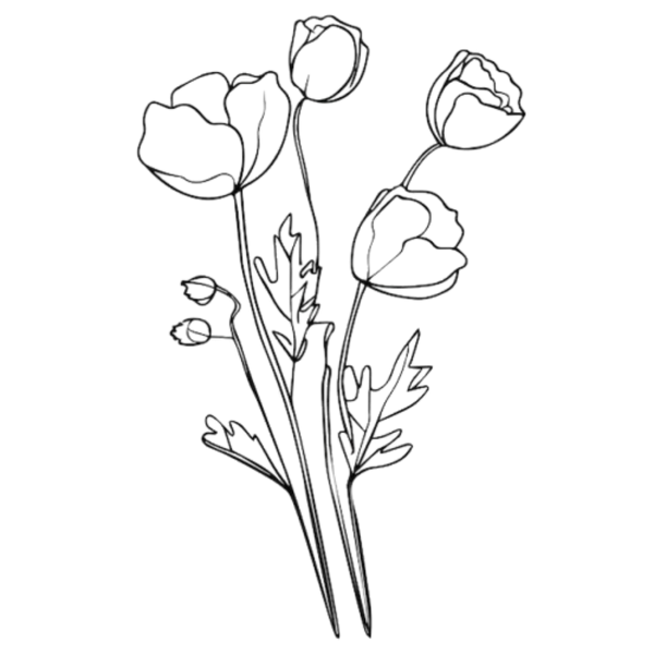 Poppy & Paper
